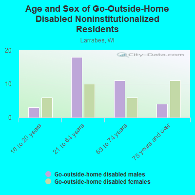 Age and Sex of Go-Outside-Home Disabled Noninstitutionalized Residents