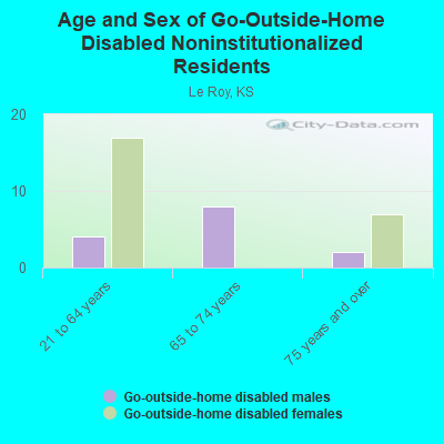 Age and Sex of Go-Outside-Home Disabled Noninstitutionalized Residents