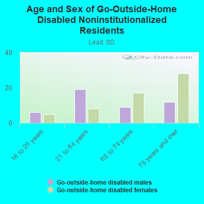 Age and Sex of Go-Outside-Home Disabled Noninstitutionalized Residents