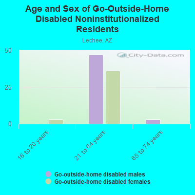 Age and Sex of Go-Outside-Home Disabled Noninstitutionalized Residents