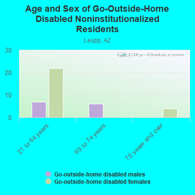 Age and Sex of Go-Outside-Home Disabled Noninstitutionalized Residents