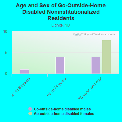 Age and Sex of Go-Outside-Home Disabled Noninstitutionalized Residents