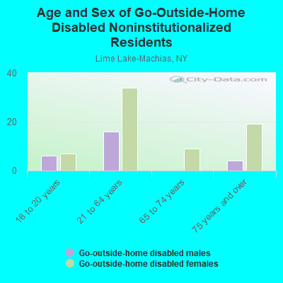 Age and Sex of Go-Outside-Home Disabled Noninstitutionalized Residents