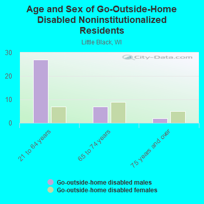 Age and Sex of Go-Outside-Home Disabled Noninstitutionalized Residents