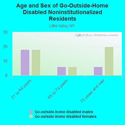 Age and Sex of Go-Outside-Home Disabled Noninstitutionalized Residents