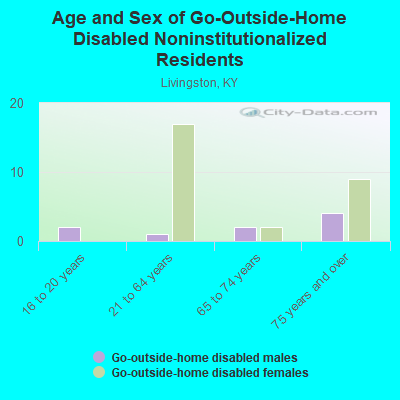 Age and Sex of Go-Outside-Home Disabled Noninstitutionalized Residents