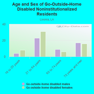 Age and Sex of Go-Outside-Home Disabled Noninstitutionalized Residents