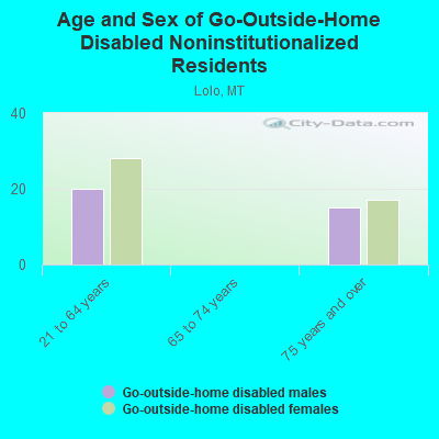 Age and Sex of Go-Outside-Home Disabled Noninstitutionalized Residents