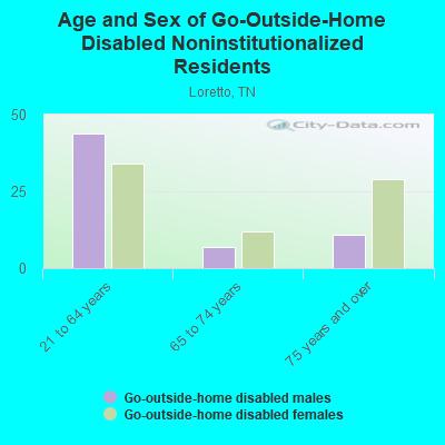 Age and Sex of Go-Outside-Home Disabled Noninstitutionalized Residents