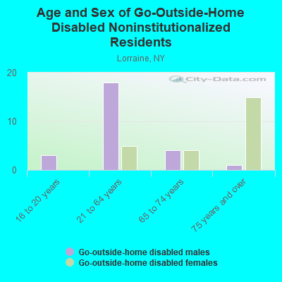 Age and Sex of Go-Outside-Home Disabled Noninstitutionalized Residents