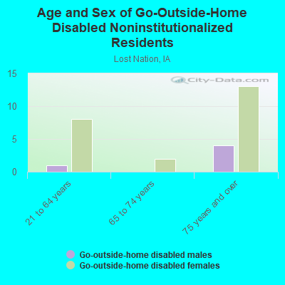 Age and Sex of Go-Outside-Home Disabled Noninstitutionalized Residents