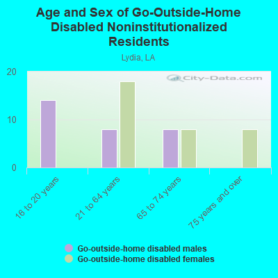 Age and Sex of Go-Outside-Home Disabled Noninstitutionalized Residents