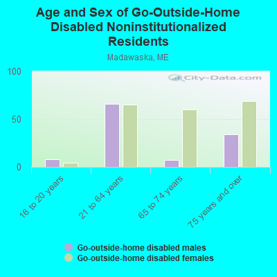 Age and Sex of Go-Outside-Home Disabled Noninstitutionalized Residents