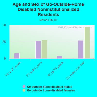 Age and Sex of Go-Outside-Home Disabled Noninstitutionalized Residents