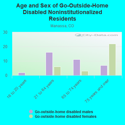 Age and Sex of Go-Outside-Home Disabled Noninstitutionalized Residents