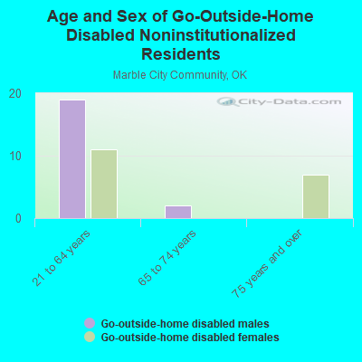 Age and Sex of Go-Outside-Home Disabled Noninstitutionalized Residents