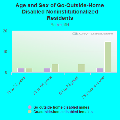 Age and Sex of Go-Outside-Home Disabled Noninstitutionalized Residents