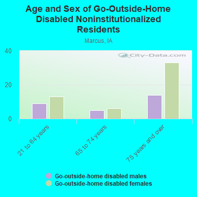 Age and Sex of Go-Outside-Home Disabled Noninstitutionalized Residents