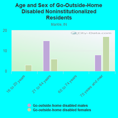 Age and Sex of Go-Outside-Home Disabled Noninstitutionalized Residents