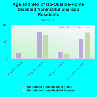 Age and Sex of Go-Outside-Home Disabled Noninstitutionalized Residents