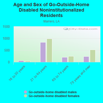 Age and Sex of Go-Outside-Home Disabled Noninstitutionalized Residents