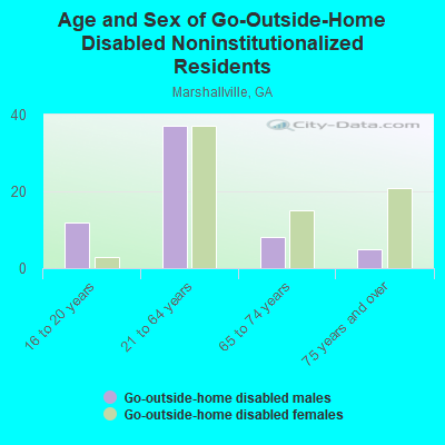 Age and Sex of Go-Outside-Home Disabled Noninstitutionalized Residents