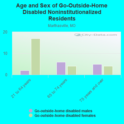 Age and Sex of Go-Outside-Home Disabled Noninstitutionalized Residents