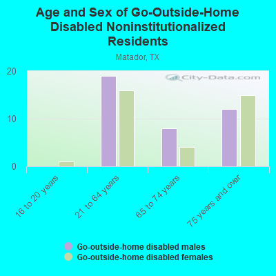 Age and Sex of Go-Outside-Home Disabled Noninstitutionalized Residents