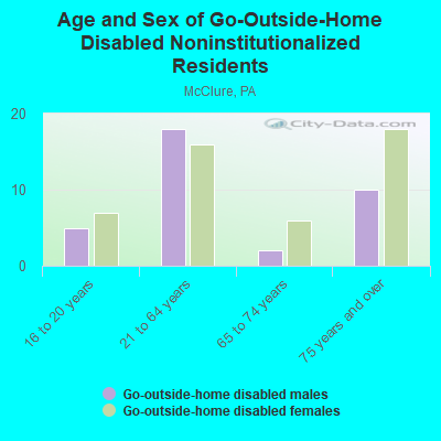 Age and Sex of Go-Outside-Home Disabled Noninstitutionalized Residents