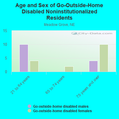 Age and Sex of Go-Outside-Home Disabled Noninstitutionalized Residents