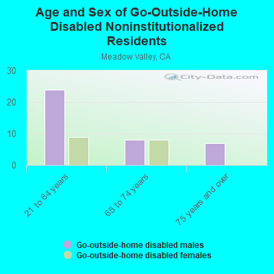 Age and Sex of Go-Outside-Home Disabled Noninstitutionalized Residents