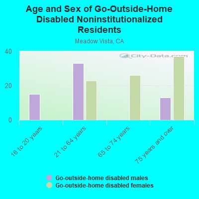 Age and Sex of Go-Outside-Home Disabled Noninstitutionalized Residents