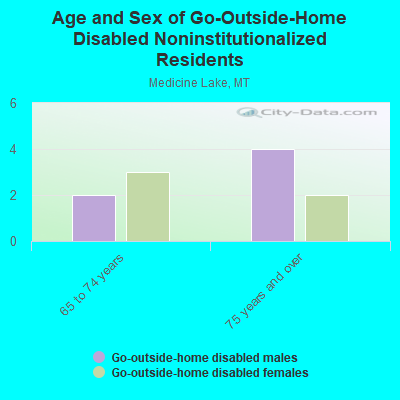 Age and Sex of Go-Outside-Home Disabled Noninstitutionalized Residents