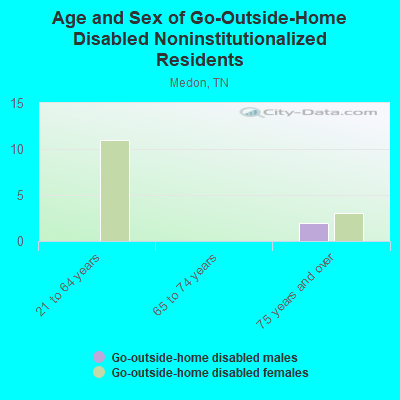 Age and Sex of Go-Outside-Home Disabled Noninstitutionalized Residents