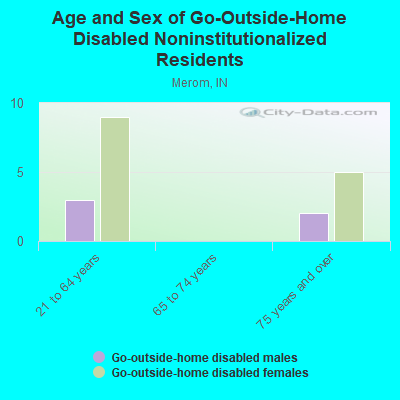 Age and Sex of Go-Outside-Home Disabled Noninstitutionalized Residents