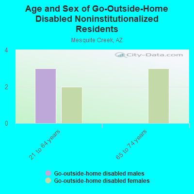 Age and Sex of Go-Outside-Home Disabled Noninstitutionalized Residents