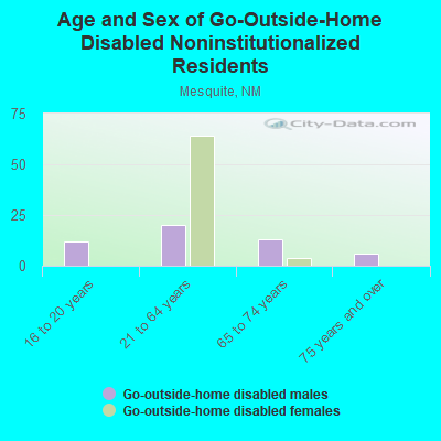 Age and Sex of Go-Outside-Home Disabled Noninstitutionalized Residents