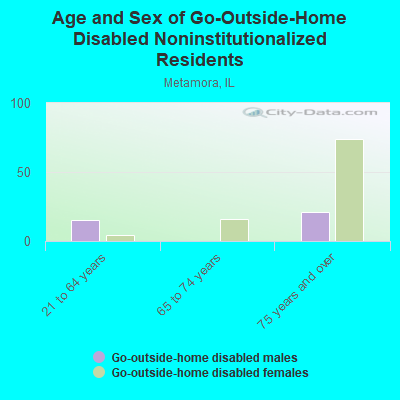 Age and Sex of Go-Outside-Home Disabled Noninstitutionalized Residents