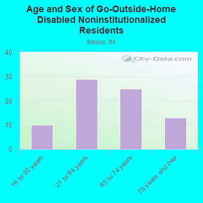 Age and Sex of Go-Outside-Home Disabled Noninstitutionalized Residents