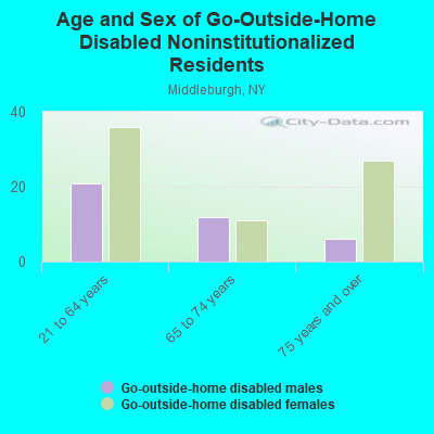 Age and Sex of Go-Outside-Home Disabled Noninstitutionalized Residents