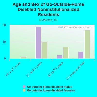 Age and Sex of Go-Outside-Home Disabled Noninstitutionalized Residents