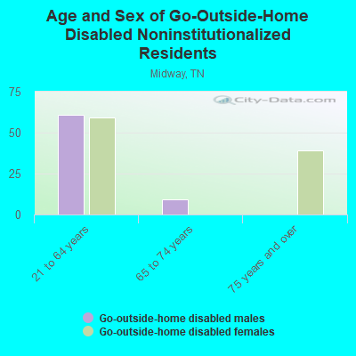 Age and Sex of Go-Outside-Home Disabled Noninstitutionalized Residents