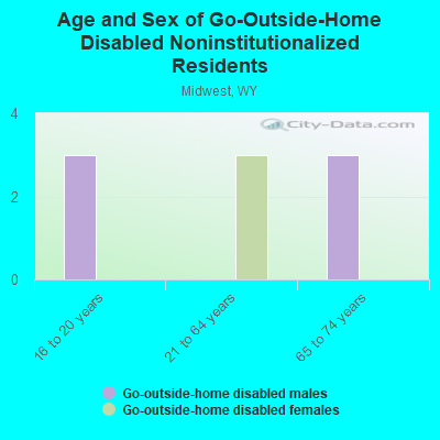 Age and Sex of Go-Outside-Home Disabled Noninstitutionalized Residents