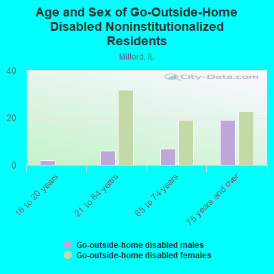 Age and Sex of Go-Outside-Home Disabled Noninstitutionalized Residents