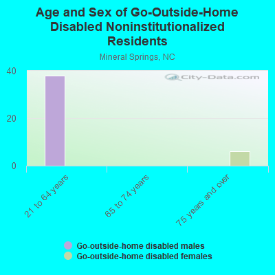 Age and Sex of Go-Outside-Home Disabled Noninstitutionalized Residents