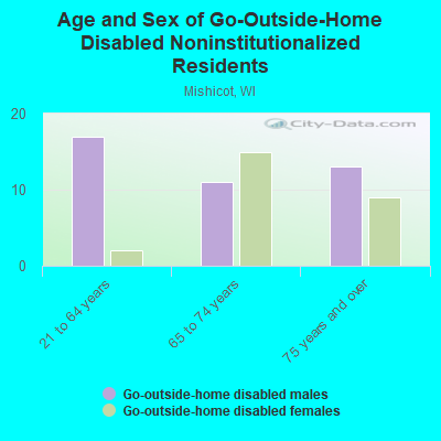 Age and Sex of Go-Outside-Home Disabled Noninstitutionalized Residents