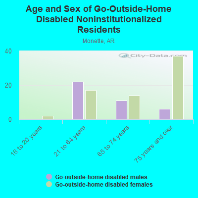 Age and Sex of Go-Outside-Home Disabled Noninstitutionalized Residents