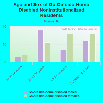 Age and Sex of Go-Outside-Home Disabled Noninstitutionalized Residents