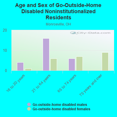 Age and Sex of Go-Outside-Home Disabled Noninstitutionalized Residents