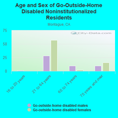 Age and Sex of Go-Outside-Home Disabled Noninstitutionalized Residents